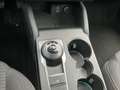 Ford Focus TURNIER TITANIUM 1.5ECOBLUE 120PS AUTOMATIK ACC.AH Rot - thumbnail 15