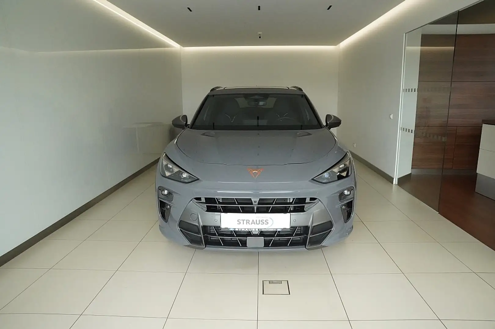 CUPRA Terramar 2.0 TSI 4Drive DSG Grau - 2