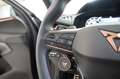 CUPRA Terramar 2.0 TSI 4Drive DSG Grau - thumbnail 13