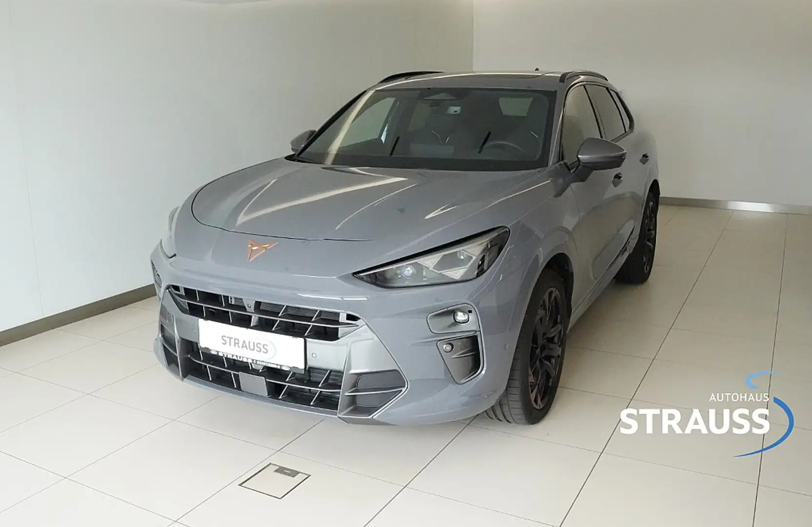 CUPRA Terramar 2.0 TSI 4Drive DSG Grau - 1