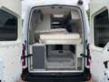 Ahorn Camp Van 550 2,3dCi 135PS+AHK+KLIMA+StHZ+RFK+TEMPO White - thumbnail 10