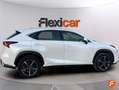 Lexus NX 300 300h Business 2WD Blanco - thumbnail 5