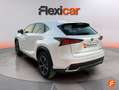 Lexus NX 300 300h Business 2WD Blanco - thumbnail 7