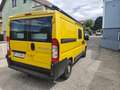 Fiat Ducato Camper Kastenwagen L2H1 Gelb - thumbnail 39