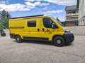 Fiat Ducato Camper Kastenwagen L2H1 Gelb - thumbnail 41