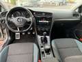 Volkswagen Golf Variant VII Variant 1.0 TSI IQ.DRIVE ACC,AppConnect,Bluet Silber - thumbnail 5