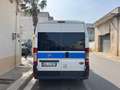 Fiat Ducato 2.3 MJT 120CV ALL.DISABILI CON PEDANA Bianco - thumbnail 4