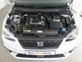 SEAT Ibiza SEAT Ibiza Style EcoTSI, 2022 Weiß - thumbnail 12