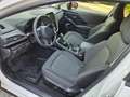 Subaru Crosstrek 2.0i e-boxer STYLE XTRA - IBRIDA Bianco - thumbnail 10