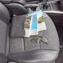 Mercedes-Benz A 160 A 160 (169.031) Schwarz - thumbnail 15