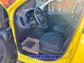 Fiat Panda PROMO FINANZ.PANDINA 1.0  Hybrid  KM  0 Giallo - thumbnail 9