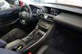 Lexus IS 300 h Aut Business Edition GRA LED Navi Kamera Rot - thumbnail 25