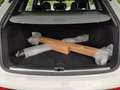 Audi SQ5 3.0 TDI quattro*Navi*LED*Alu*PDC*Virtual Coc Bianco - thumbnail 20