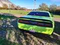Dodge Challenger R/T Scat Pack Wide Body Verde - thumbnail 6