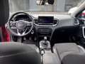 Kia XCeed Xceed 1,5 TGDI GPF Gold Rot - thumbnail 18