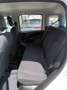 Fiat New Panda 1000 HYBRID 70 CV PDC ITALIA Bianco - thumbnail 6