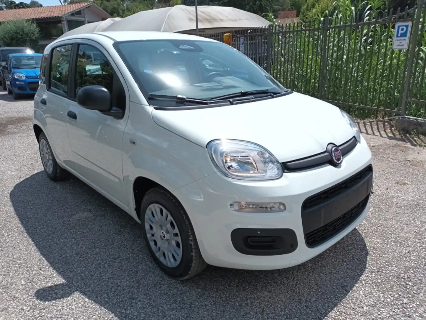 Fiat New Panda 1000 HYBRID 70 CV PDC ITALIA Bianco - 1