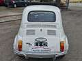 Fiat 500 Bianco - thumbnail 7