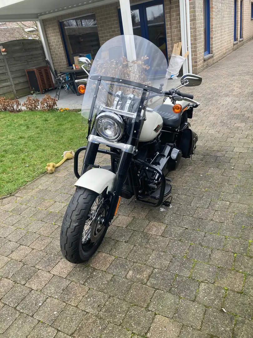Harley-Davidson Softail Slim Alb - 2