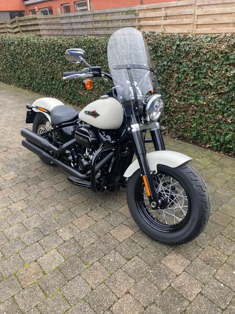 Harley-Davidson Softail Slim Alb - 1