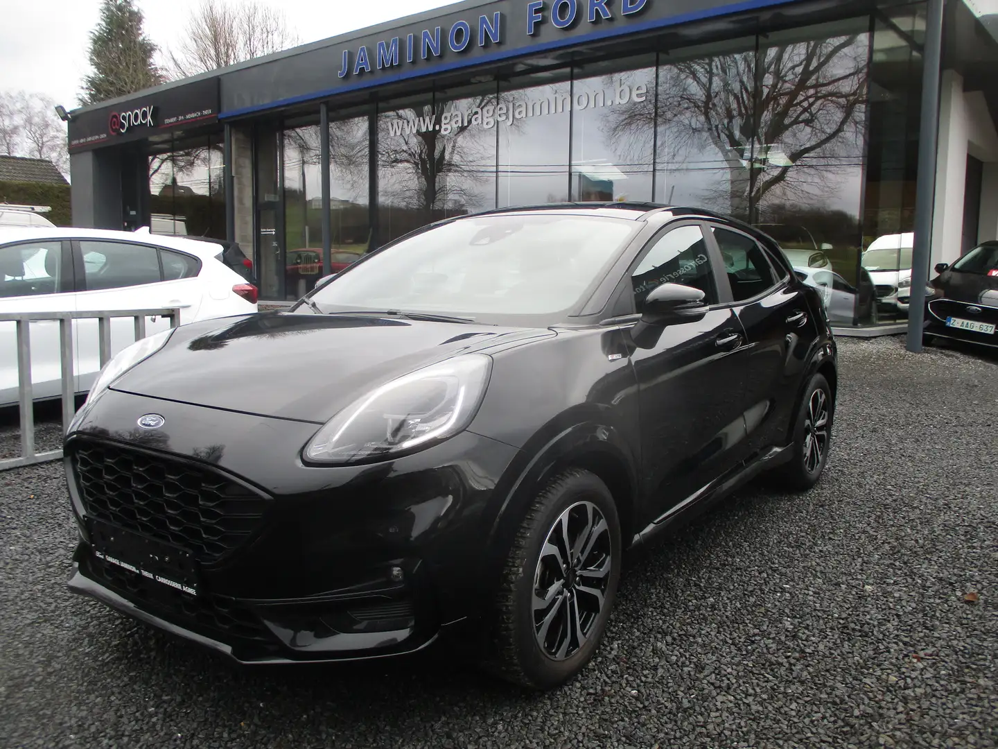 ford puma