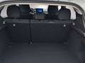Dacia Sandero Stepway Comfort TCe 90 CVT Weiß - thumbnail 18