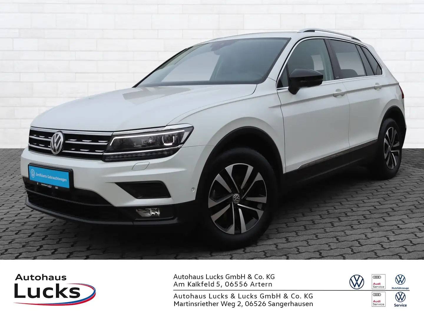 Volkswagen Tiguan IQ.DRIVE 2,0 l TDI  AHK Kamera LED Weiß - 2