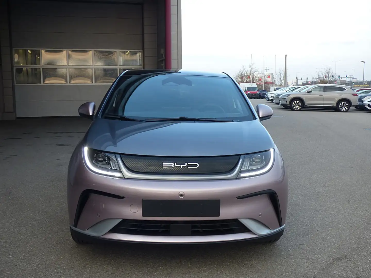 BYD Dolphin 60,4 kWh Design Österreich Paket Violet - 2