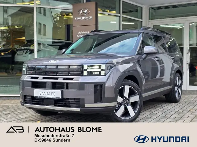 Hyundai SANTA FE PHEV 1.6 T-GDI 4WD Signature, Technik-, Komfort-Pa