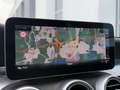 Mercedes-Benz C 200 4MATIC*9G*ACC*T-LEDER*AVANTGARDE*PANORAMA* Noir - thumbnail 10