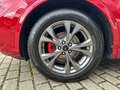 Ford Kuga ST-Line X Panorama Technologie Paket Winter Rot - thumbnail 9