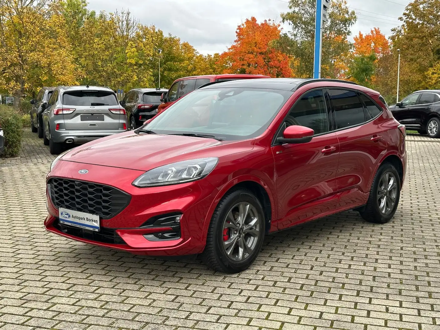 Ford Kuga ST-Line X Panorama Technologie Paket Winter Rot - 1