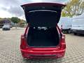 Ford Kuga ST-Line X Panorama Technologie Paket Winter Rot - thumbnail 6