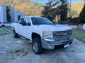 Chevrolet Silverado SILVERADO 2500 HD 6.0L V8 VORTEC Bianco - thumbnail 1