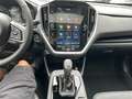 Subaru Crosstrek 2,0i e-Boxer HEV CVT Premium Allrad Aut. Weiß - thumbnail 10