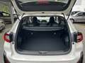 Subaru Crosstrek 2,0i e-Boxer HEV CVT Premium Allrad Aut. Weiß - thumbnail 15