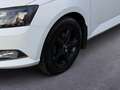 Skoda Fabia Fabia 1.4 TDI Style *Xenon* Start/Stop-Aut*Carpl.* Weiß - thumbnail 6