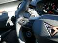 CUPRA Terramar 2.0 TSI 4Drive SHZ KAMERA ACC LED Schwarz - thumbnail 16