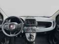 Fiat Panda 1.0 firefly hybrid s&s 70cv 5p.ti Bianco - thumbnail 9