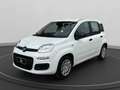 Fiat Panda 1.0 firefly hybrid s&s 70cv 5p.ti Bianco - thumbnail 1