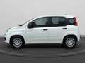 Fiat Panda 1.0 firefly hybrid s&s 70cv 5p.ti Bianco - thumbnail 6