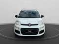 Fiat Panda 1.0 firefly hybrid s&s 70cv 5p.ti Bianco - thumbnail 3