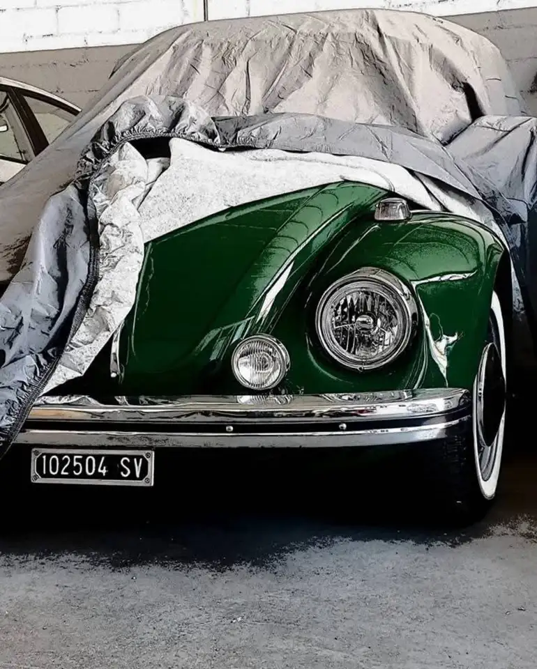 Volkswagen Maggiolino, foto 2