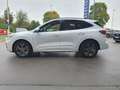 Ford Kuga 2.5 Duratec PHEV ST-LINE X Weiß - thumbnail 10