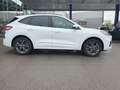 Ford Kuga 2.5 Duratec PHEV ST-LINE X Weiß - thumbnail 4