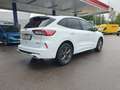 Ford Kuga 2.5 Duratec PHEV ST-LINE X Weiß - thumbnail 5