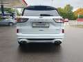 Ford Kuga 2.5 Duratec PHEV ST-LINE X Weiß - thumbnail 6