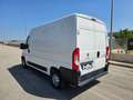 Fiat Ducato 33 2.2 BlueHDi 120 S&S PM-TM Furgone Bianco - thumbnail 11