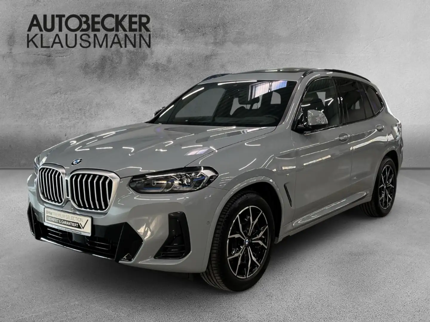 BMW X3 xDrive 20d M SPORT LC PROF NAVI AHK KAMERA LED Šedá - 1