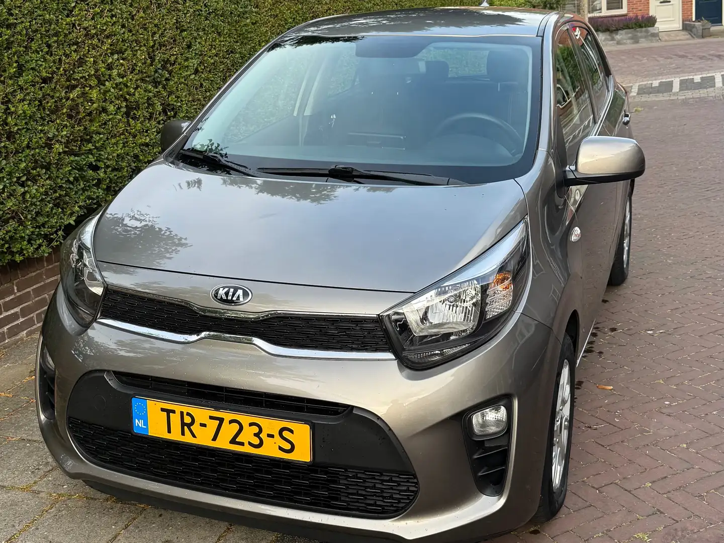 Kia Picanto Picanto 1.0 CVVT Co.Pl.L.Nav Grijs - 2